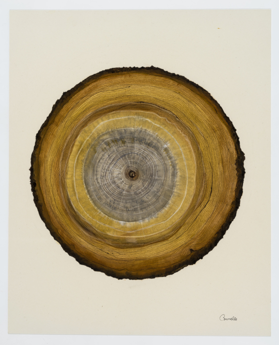 Semer des arbres, Carmelle Pilon