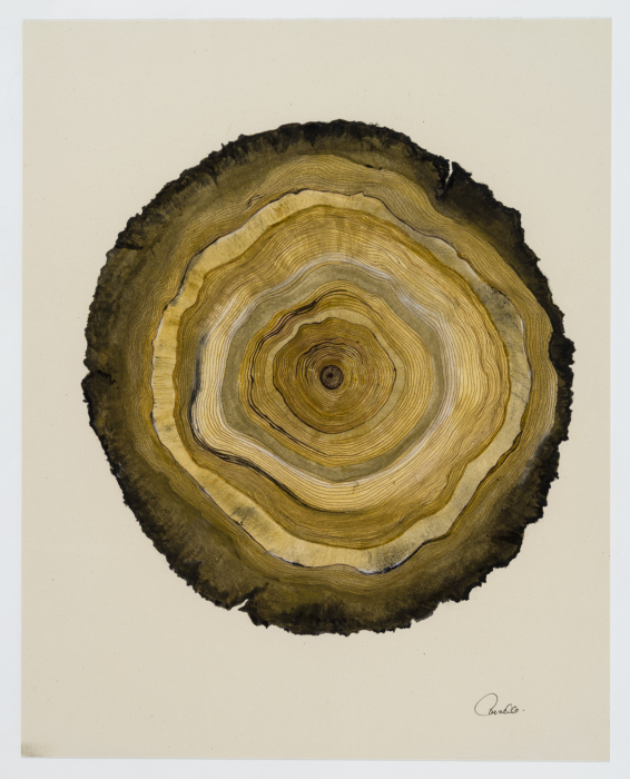 Semer des arbres, Carmelle Pilon